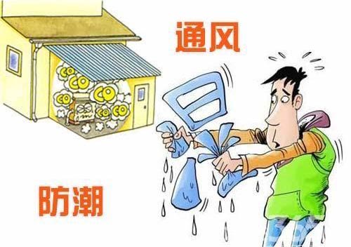 夏天装修有什么注意事项